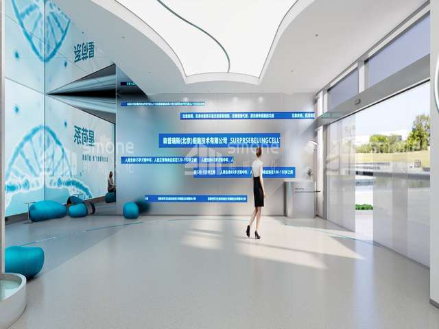 反应釜清洗球河东区