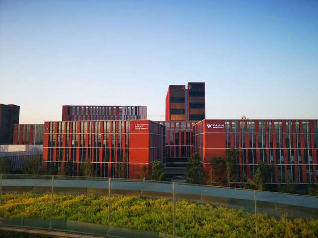 江苏鼻咽拭子唾液DNA采集器厂家直销